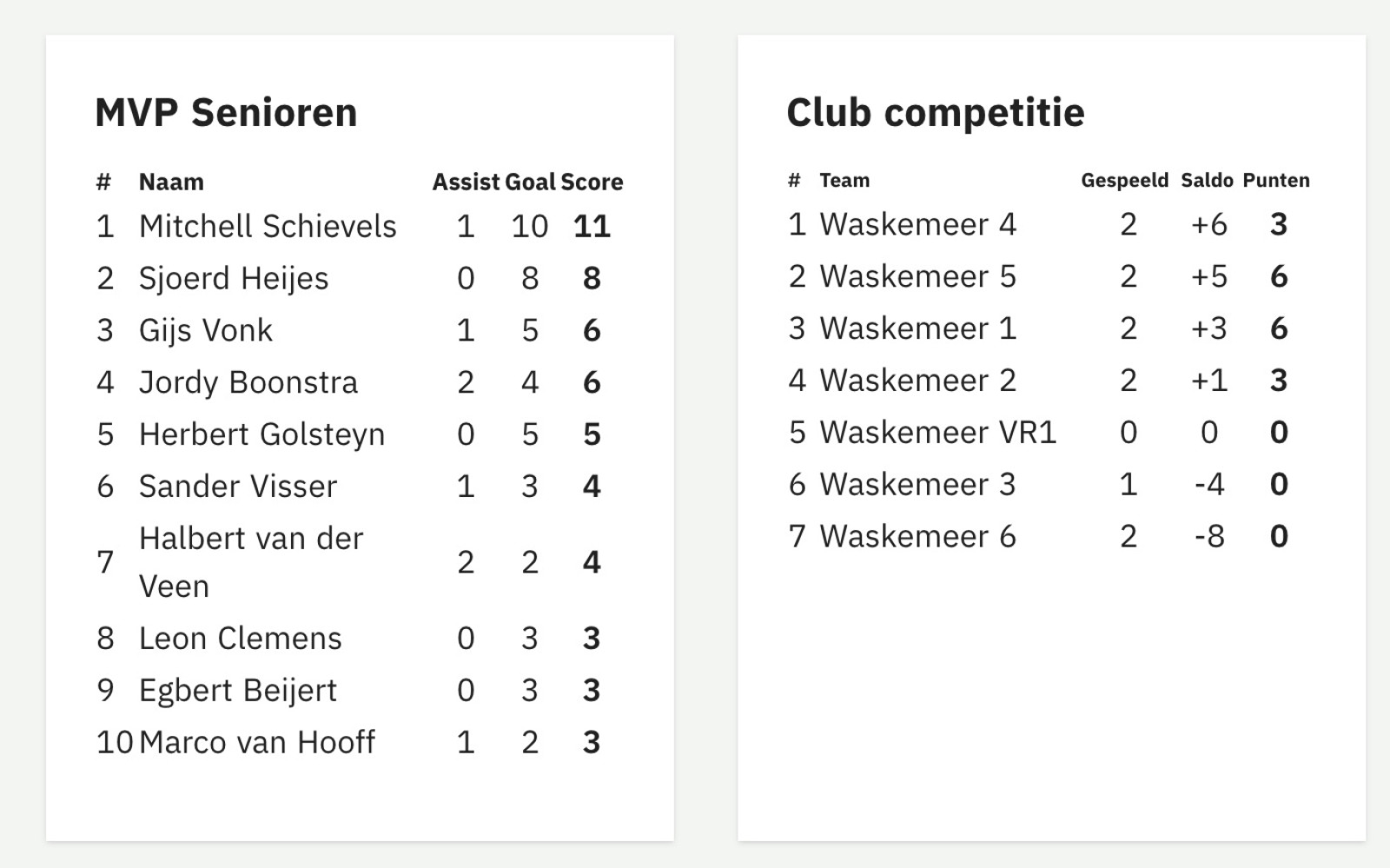 VV Waskemeer website update